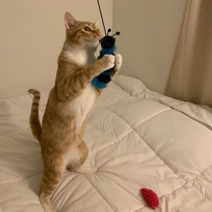 Meet your Posher, La